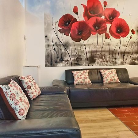 Appartamento Cozy Penthouse In A New Business Building In City Center. Free Private Parking Cluj-Napoca Esterno foto